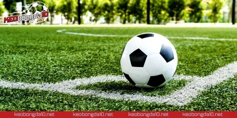 Nhiều hình thức cá cược mang lại trải nghiệm phong phú và hấp dẫn